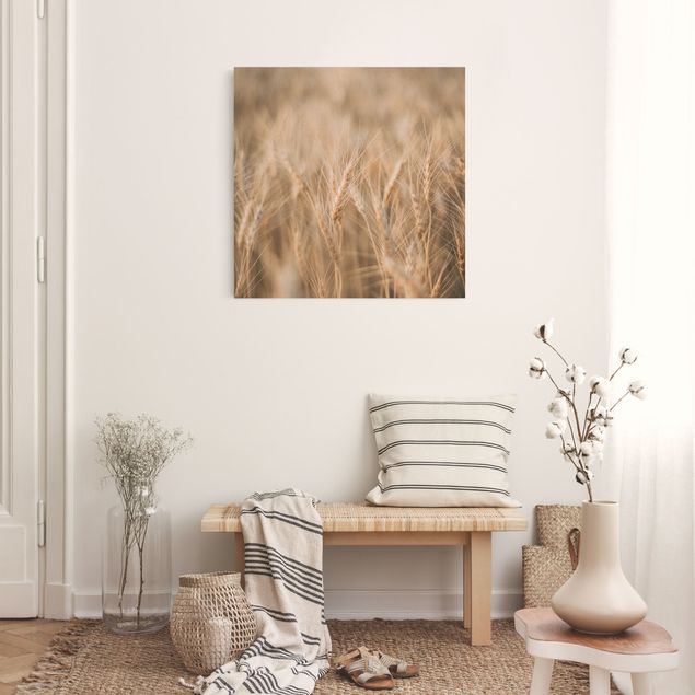 Floral picture Wheat Field