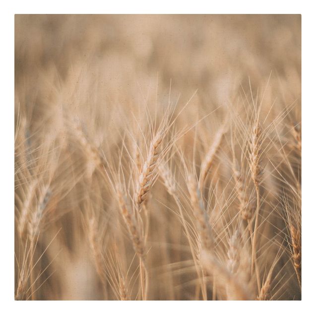 Prints Wheat Field