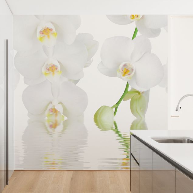 Wallpapers modern Spa Orchid - White Orchid