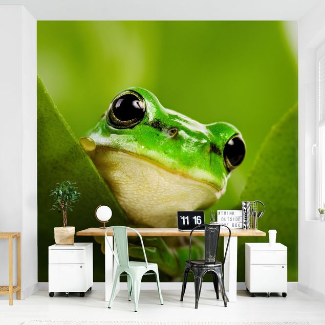 Peel and stick wallpaper Frog