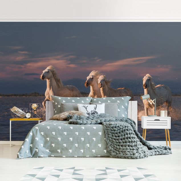 Contemporary wallpaper Wild Horses In Kamargue
