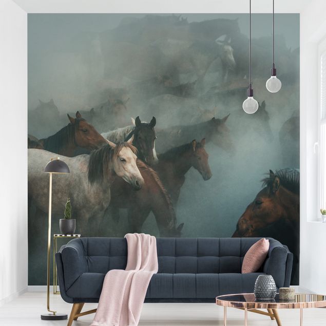 Wallpapers animals Wild Horses