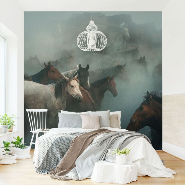 Modern wallpaper designs Wild Horses