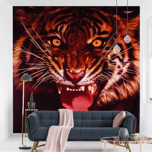 Wallpapers modern Wild Tiger