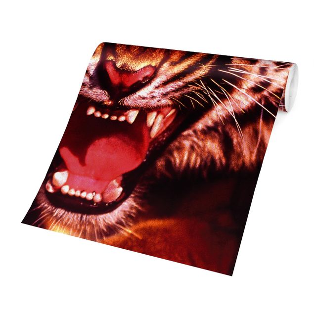 Self adhesive wallpapers Wild Tiger
