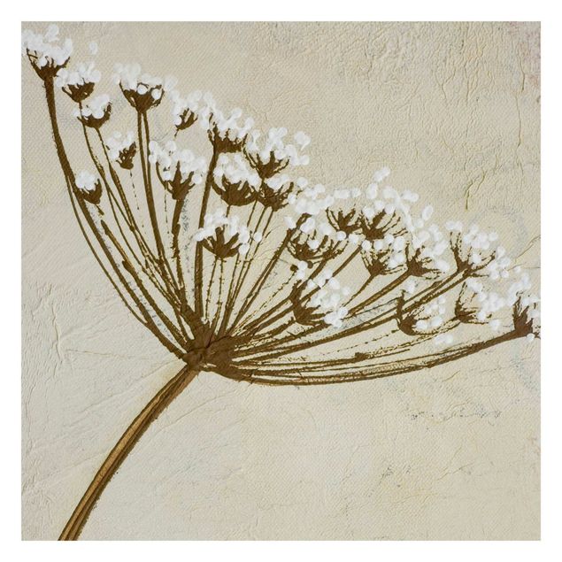 Wallpapers brown Wildflower