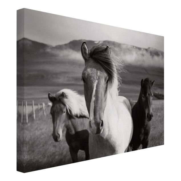 Black and white canvas art Wild Horses Black And White