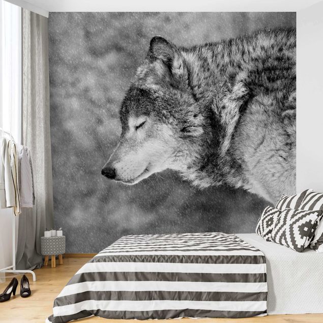 Contemporary wallpaper Winter Wolf