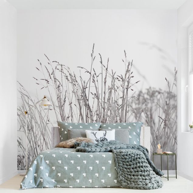 Wallpapers modern Winter Grasses