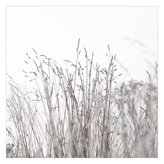 Monika Strigel Art prints Winter Grasses
