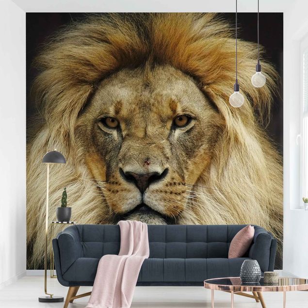 Wallpapers animals Wisdom Of Lion