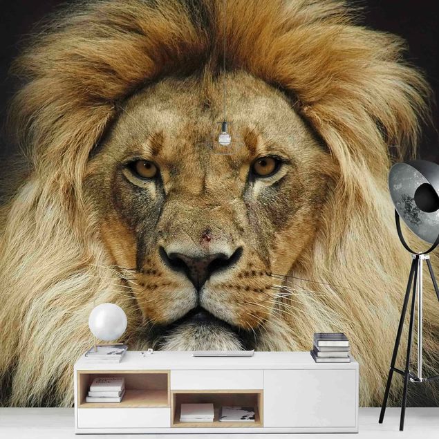 Wallpapers modern Wisdom Of Lion