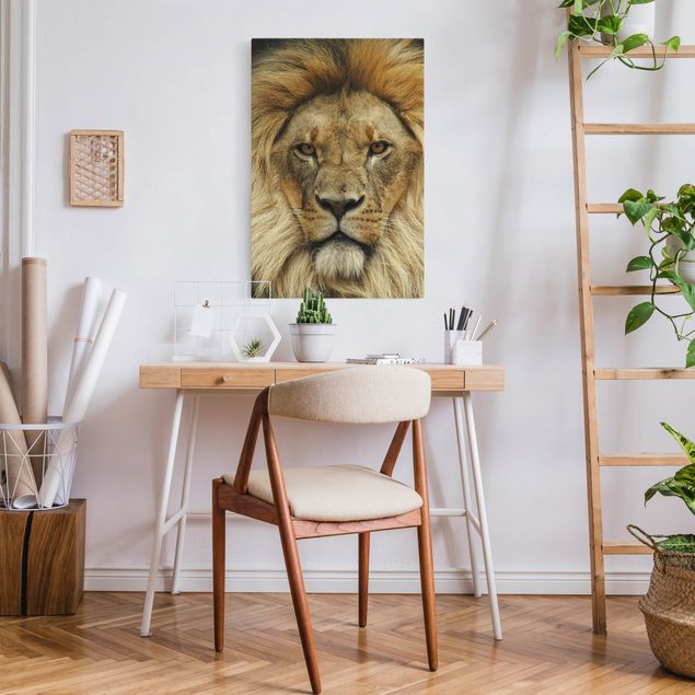 Cat canvas art Wisdom of Lion