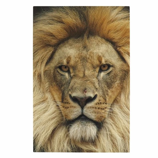 Animal wall art Wisdom of Lion