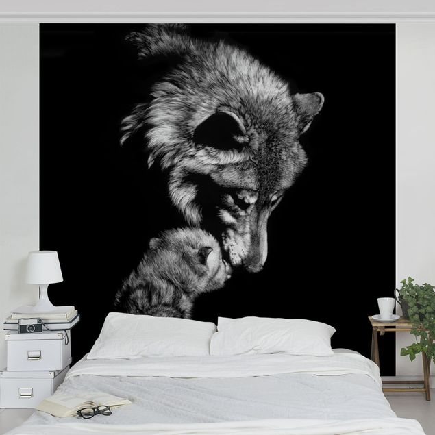 Wallpapers animals Wolf In The Dark