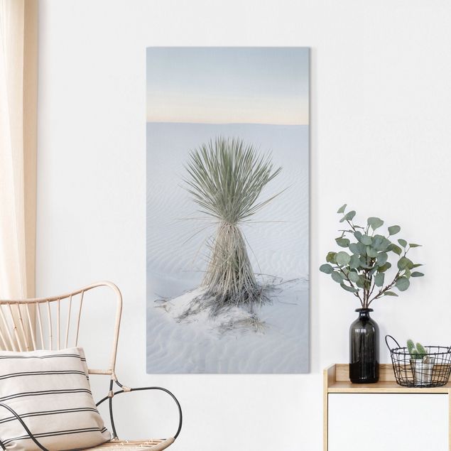 Landscape canvas prints Yucca palm in white sand