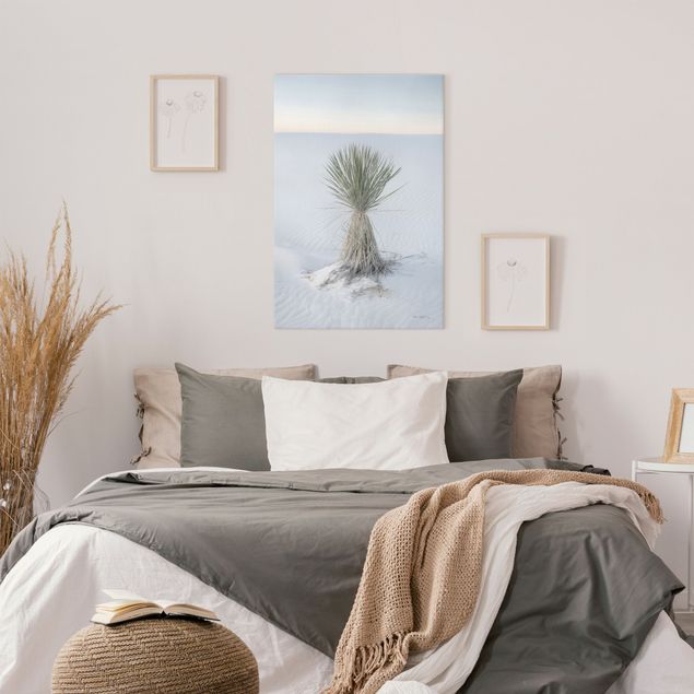 Canvas prints dunes Yucca palm in white sand