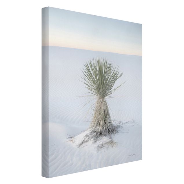 Contemporary art prints Yucca palm in white sand