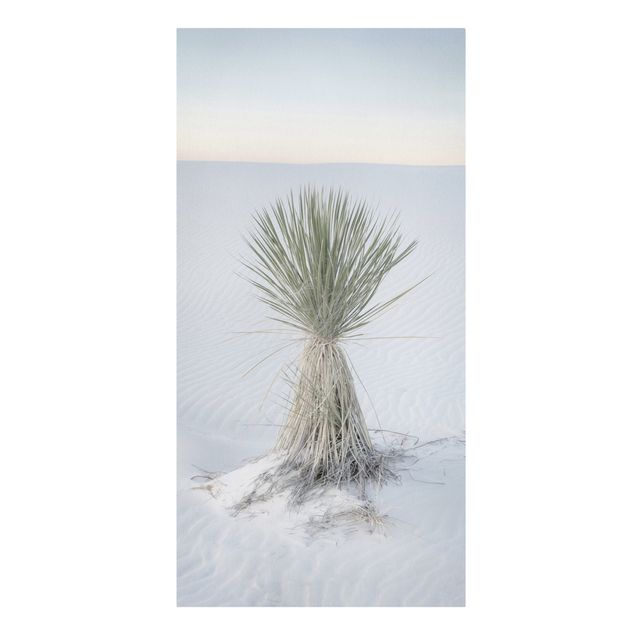 Landscape canvas wall art Yucca palm in white sand