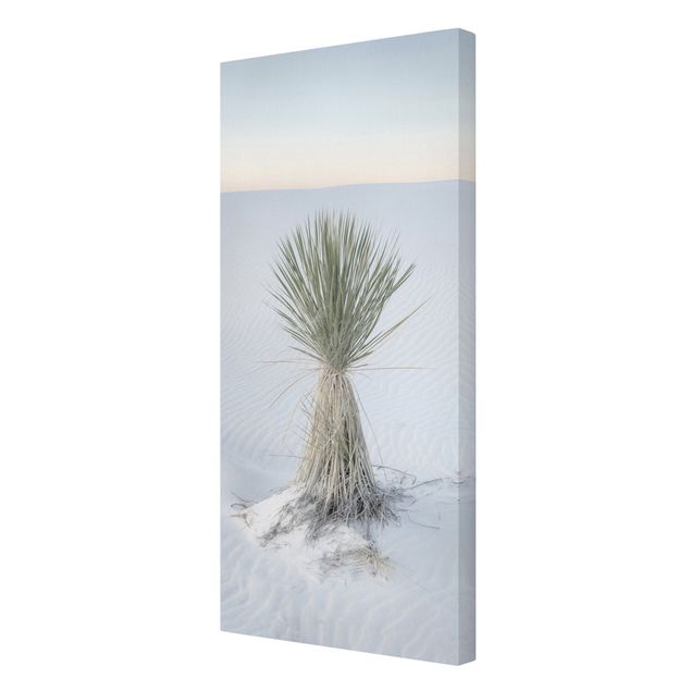 Nature art prints Yucca palm in white sand