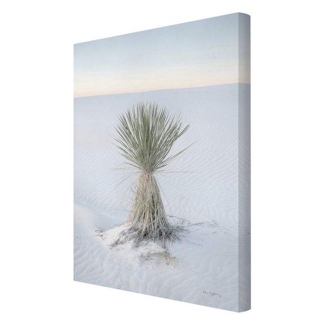 Prints nature Yucca palm in white sand