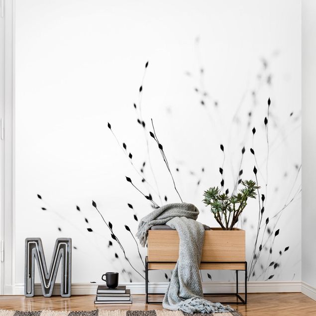 Modern wallpaper designs Soft Grasses In Shadow