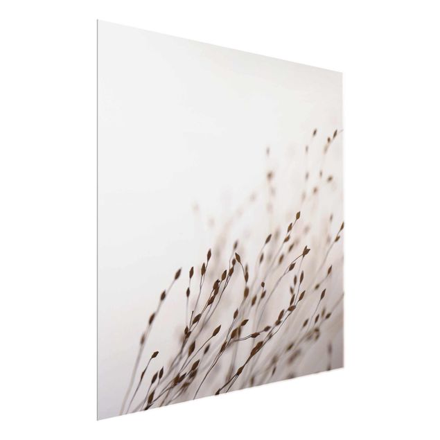 Floral picture Soft Grasses In Slipstream