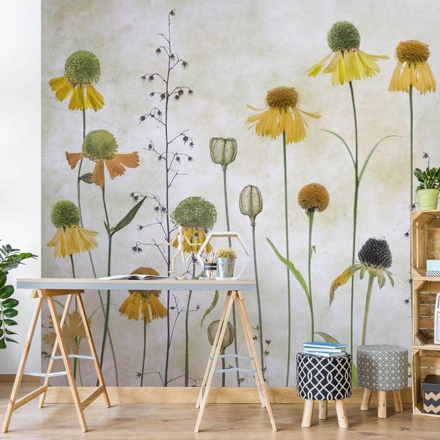 Contemporary wallpaper Delicate Helenium Flowers