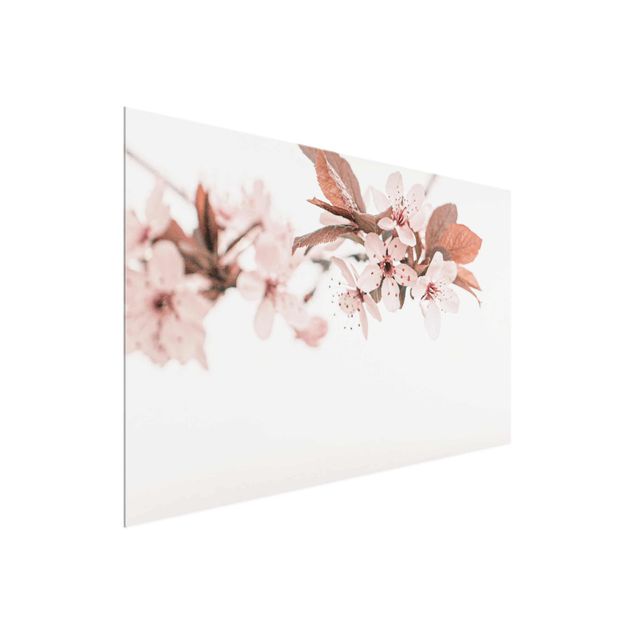 Floral prints Delicate Cherry Blossoms On A Twig