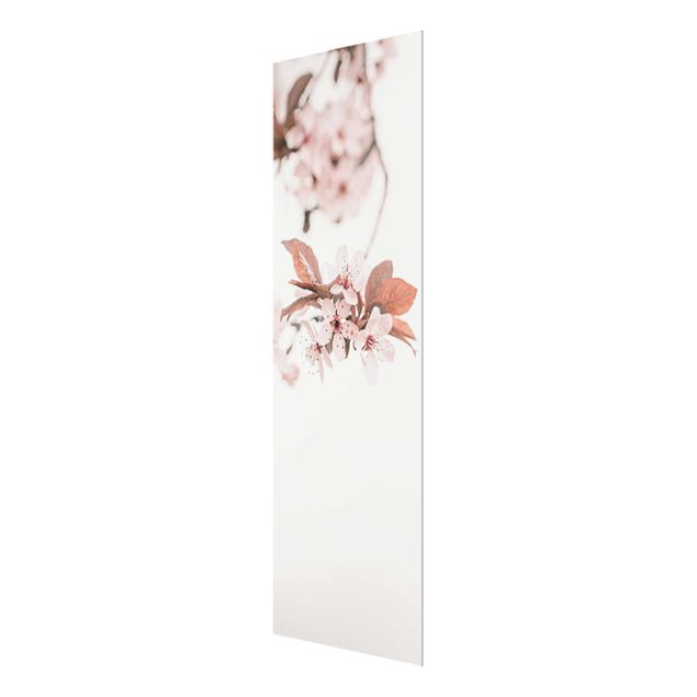 Monika Strigel Art prints Delicate Cherry Blossoms On A Twig