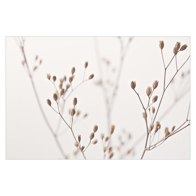 Monika Strigel Art prints Delicate Buds On A Wildflower Stem
