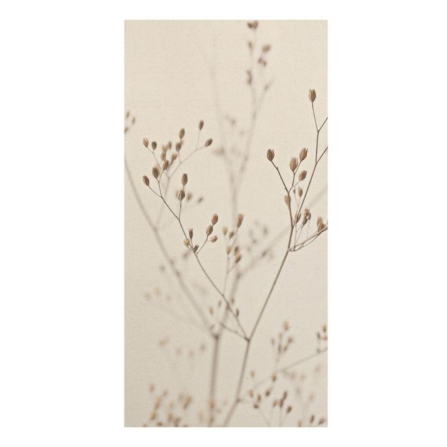 Modern art prints Delicate Buds On A Wildflower Stem