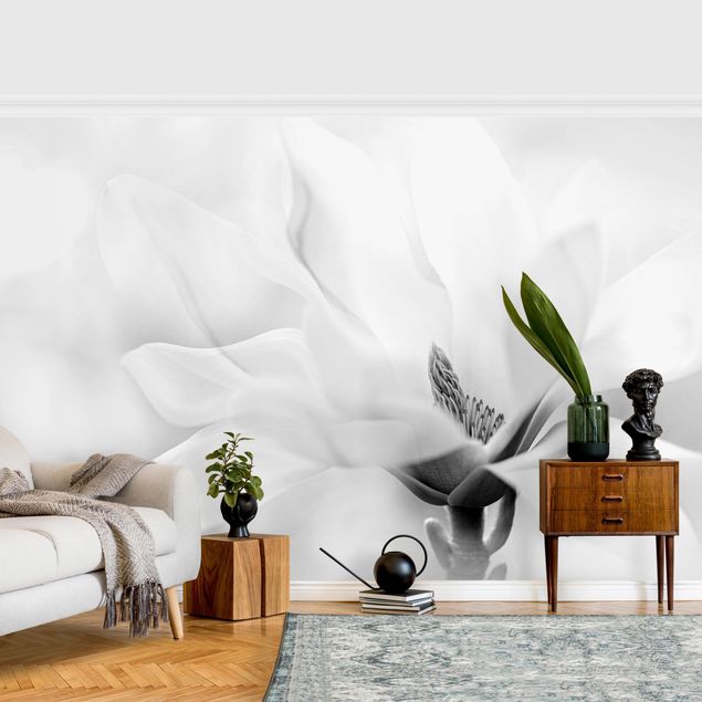 Black and white aesthetic wallpaper Delicate Magnolia Flowers Black and White