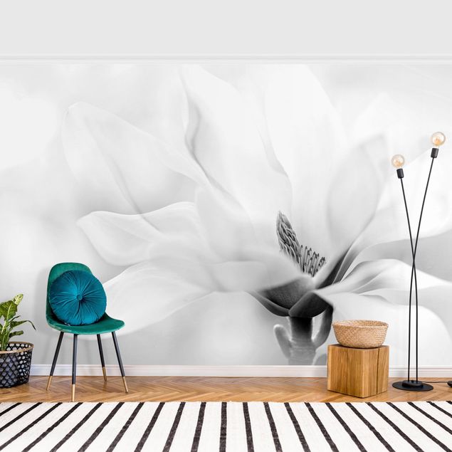 Modern wallpaper designs Delicate Magnolia Flowers Black and White