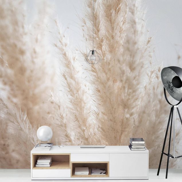 Country style wallpaper Delicate Pampas Grass Close Up