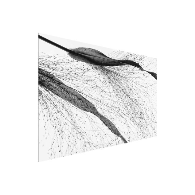 Prints floral Delicate Reed With Subtle Buds Black And White