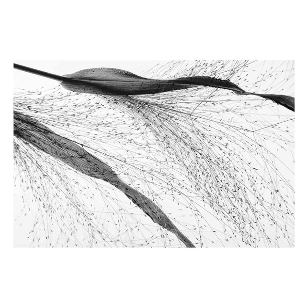 Black and white art Delicate Reed With Subtle Buds Black And White