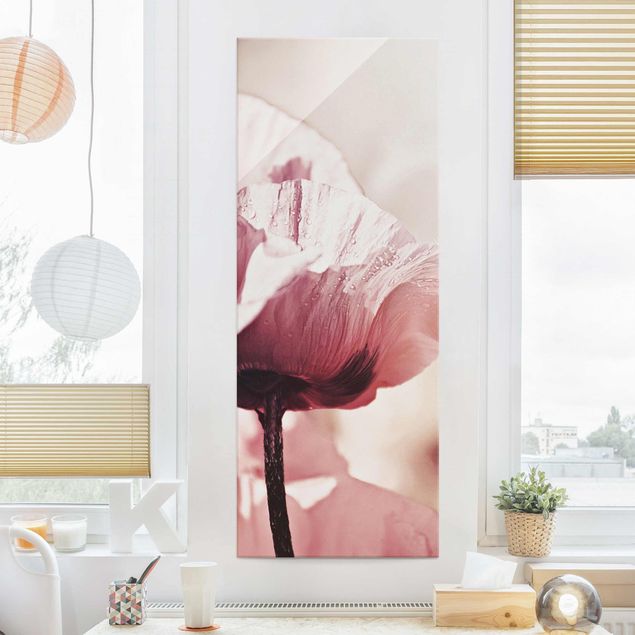 Glass prints poppy Pale Pink Poppy Flower With Water Drops