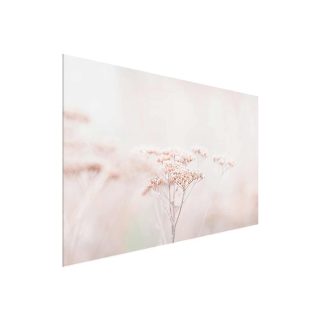 Floral picture Pale Pink Wild Flowers