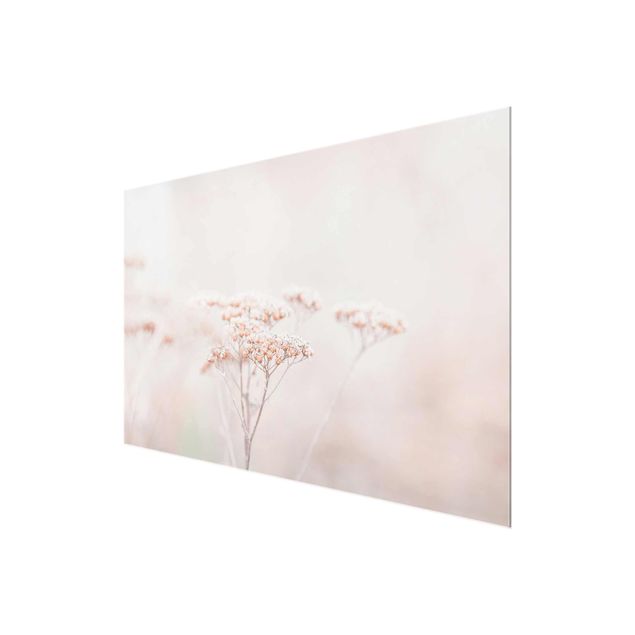 Monika Strigel Art prints Pale Pink Wild Flowers