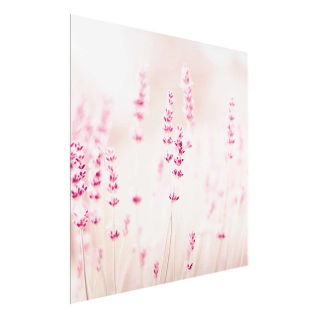 Floral prints Pale Pink Lavender