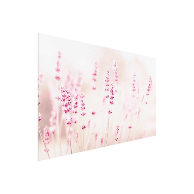 Floral prints Pale Pink Lavender