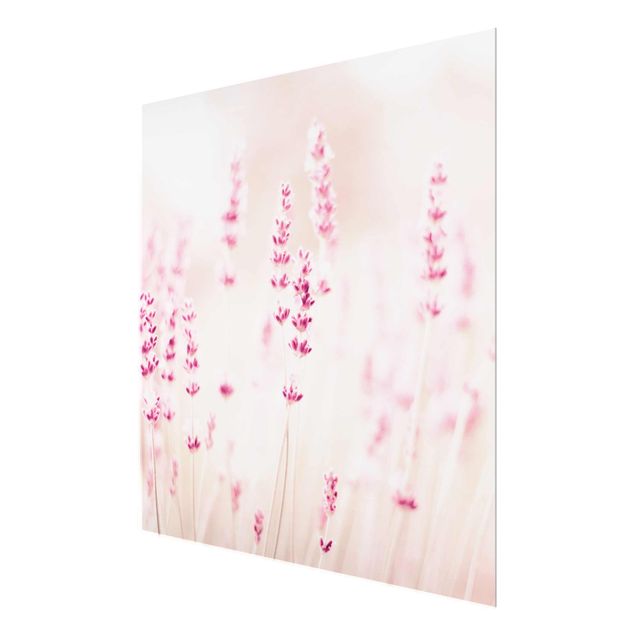 Monika Strigel Art prints Pale Pink Lavender