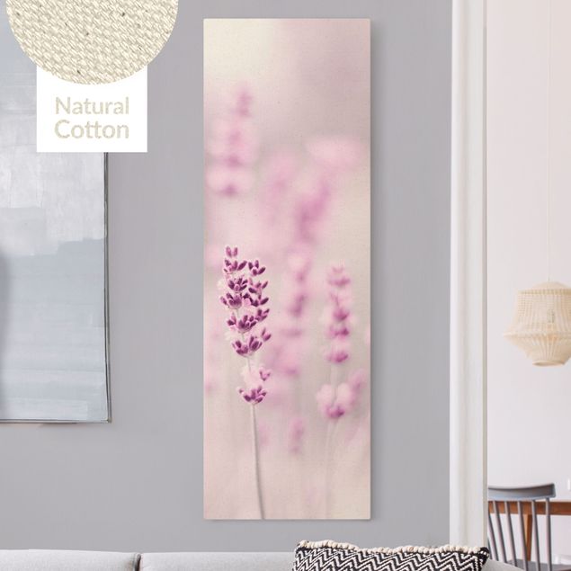 Canvas prints grasses Pale Purple Lavender