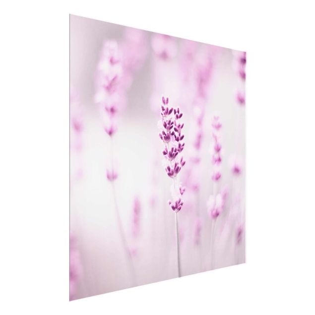 Prints flower Pale Purple Lavender