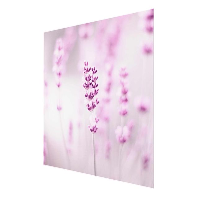 Monika Strigel Art prints Pale Purple Lavender