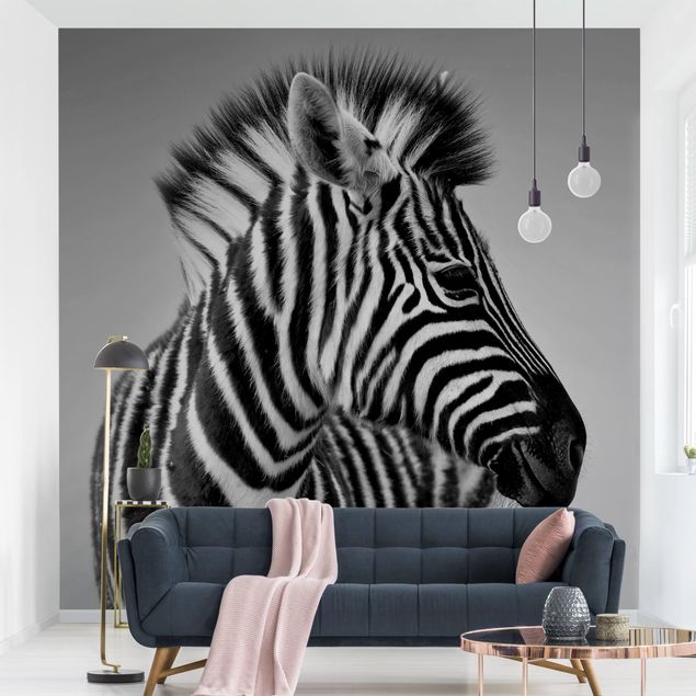 Wallpapers zebra Zebra Baby Portrait II