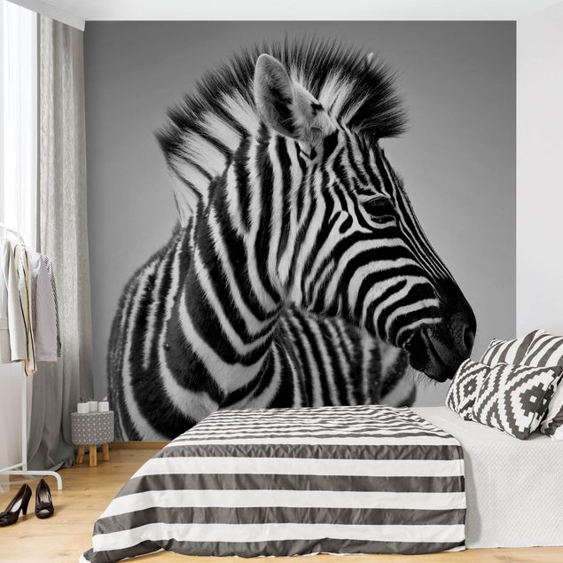 Black white wallpaper Zebra Baby Portrait II