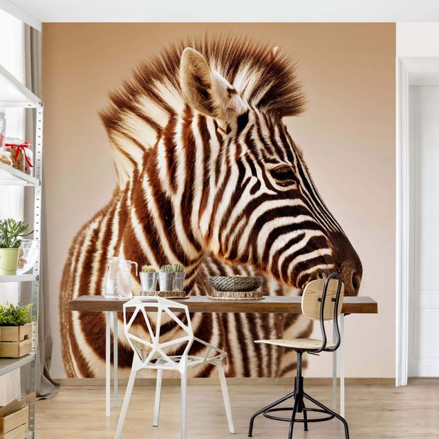Wallpapers zebra Zebra Baby Portrait