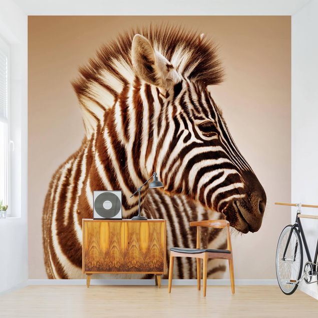 Wallpapers animals Zebra Baby Portrait